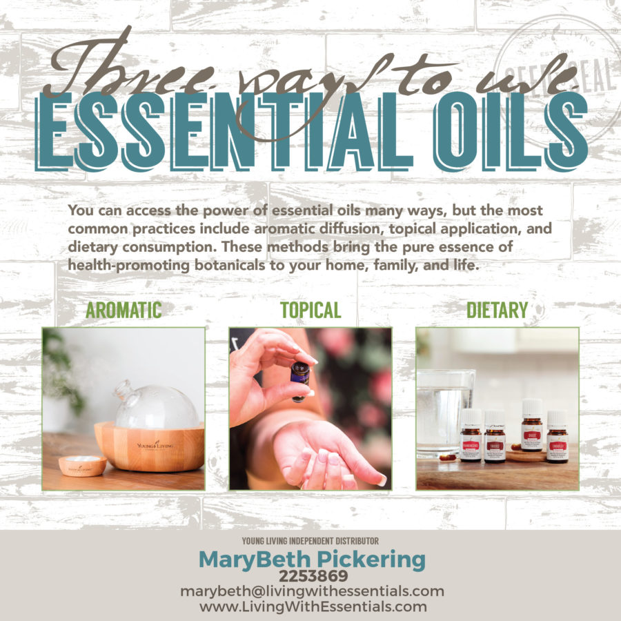 Essential Oils in the Bible - How to Use Essential Oils