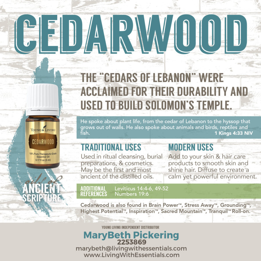 Essential Oils in the Bible - Cedarwood Essential Oil