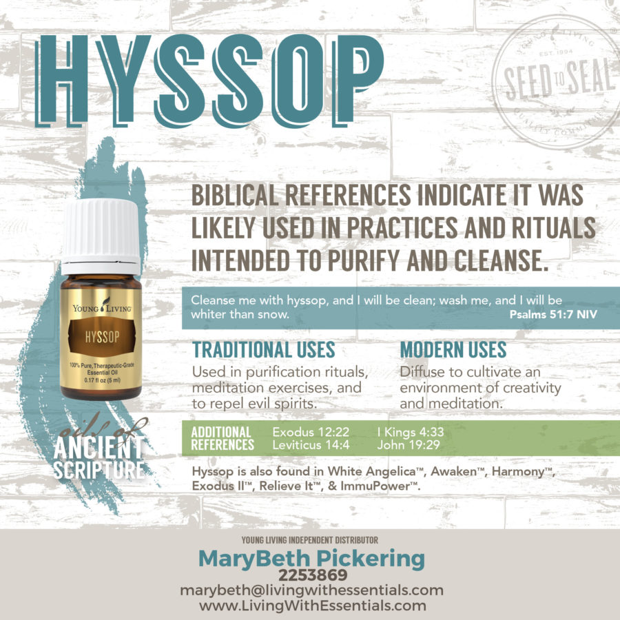 Essential Oils in the Bible - Hyssop Essential Oil