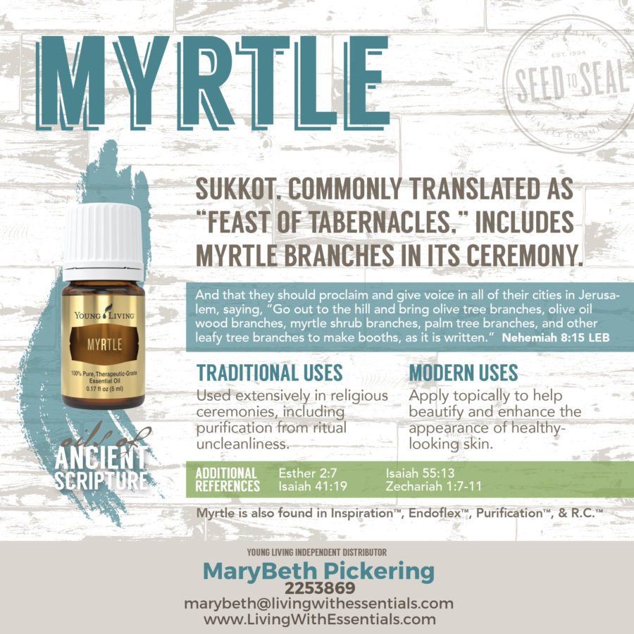 Essential Oils in the Bible - Myrtle Essential Oil