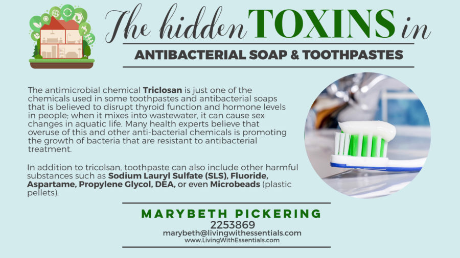 Toxin-Free Family Soaps and Toothpaste