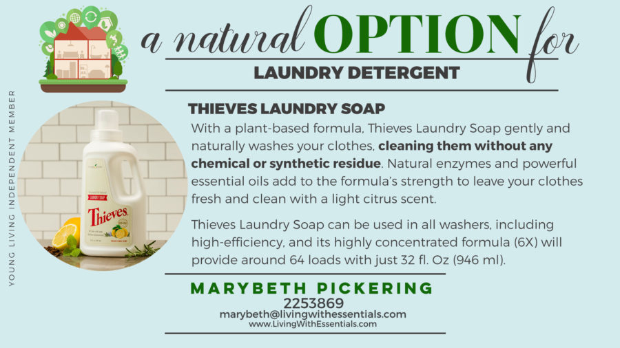 Toxin-Free Family Thieves Laundry Soap