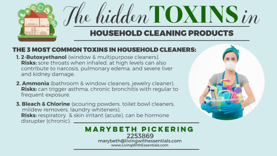 Toxin-Free Family Cleaning Product Toxins