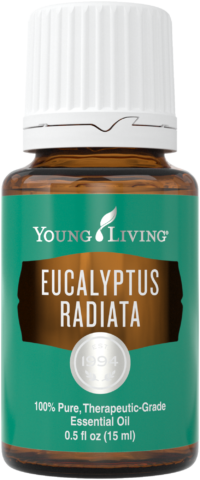 EucalyptusRadiata.EO